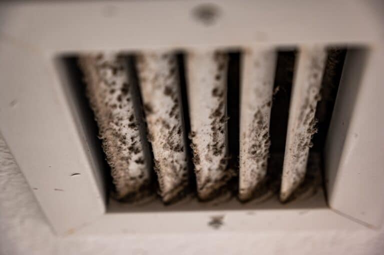 Subjective focus on lint and dirt particles on a ceiling air vent